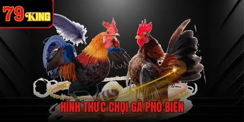 Top 3 loại hình đá gà rừng ăn khách nhất