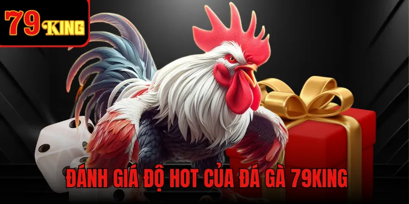 Đánh giá độ hot của đá gà 79KING