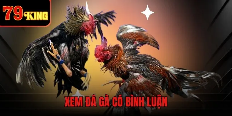 Cơ hội xem thi đấu có bình luận