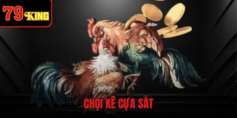 Hình thức chọi cựa sắt